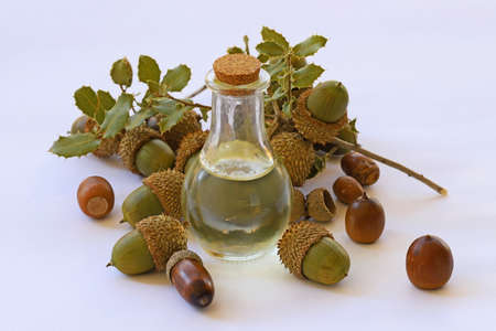 Acorn Oil as a Luxury Ingredient Why Brands Are Adding It