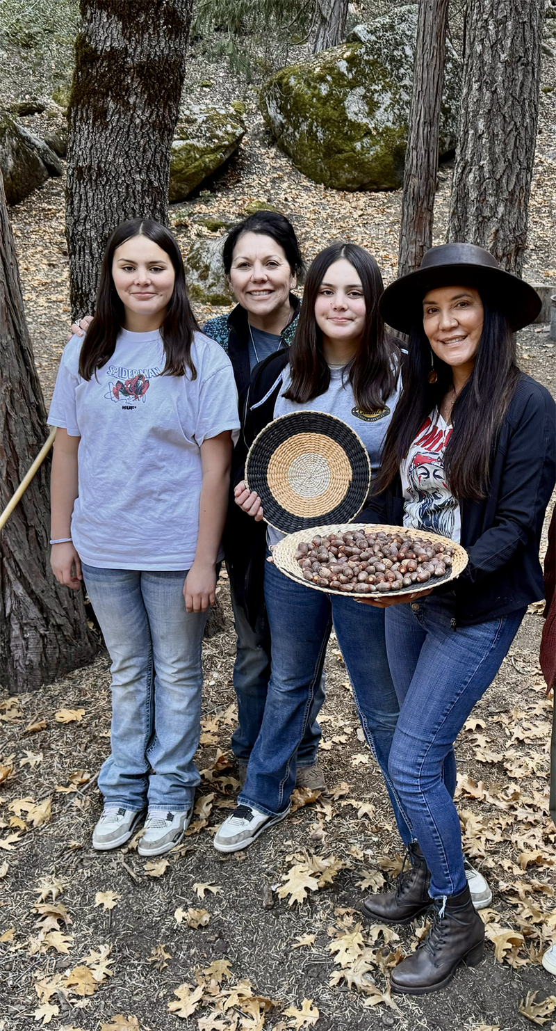 Native Beauty Lands: A Bridge Between Tradition and Modern Luxury