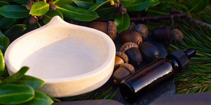 Acorn Oil for Skin: Benefits and Routine Tips