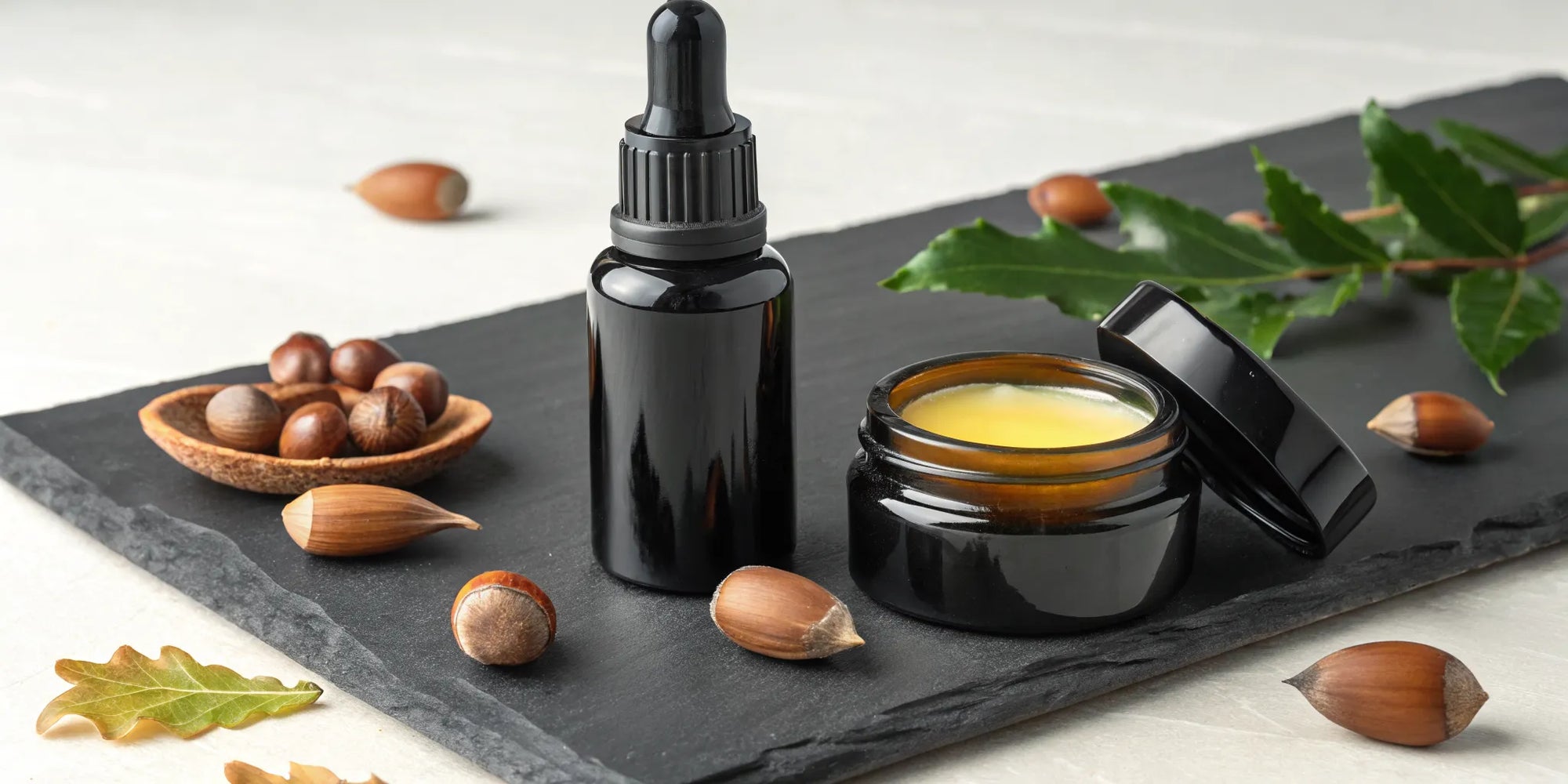 Black acorn oil skincare serum and balm in black jars displayed with acorns.